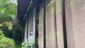 Un edificio con ventanas amplias cubiertas por cortinas, rodeado de exuberante vegetación.