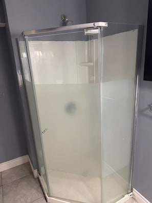 Shower, hair dryer, towels, soap - Spacious Dedicated Basement Apartment (Woodstock)