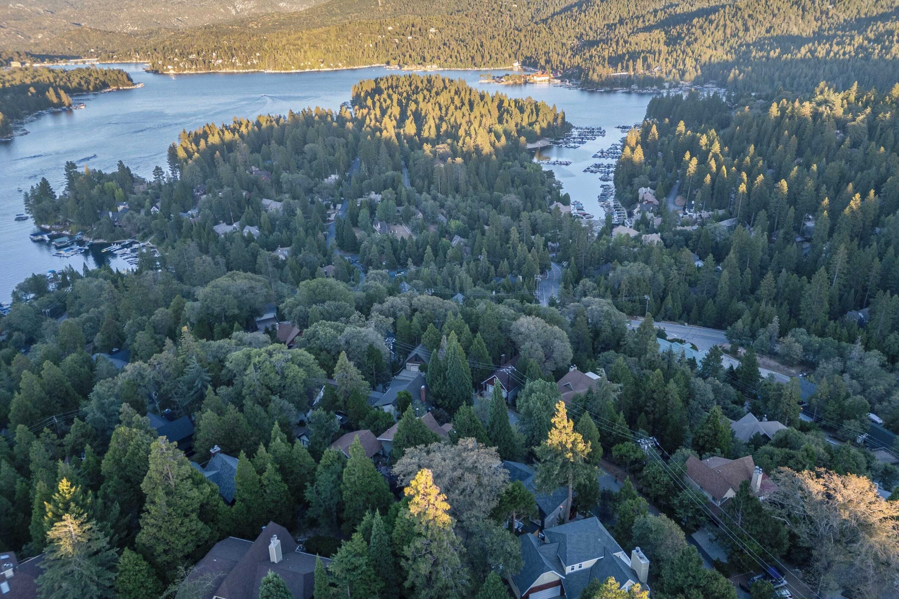 An aerial view of a residential area with houses surrounded by dense forest and a lake.