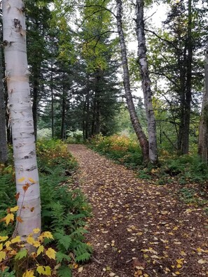 Miscellaneous - This Lil Apartment - Stay Close to Airport, Beach, and Gros Morne Adventures (Deer Lake)
