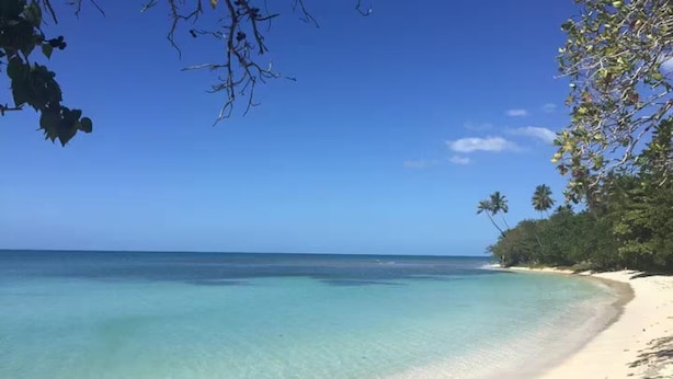 A beach with clear turquoise water, white sand, and lush greenery.