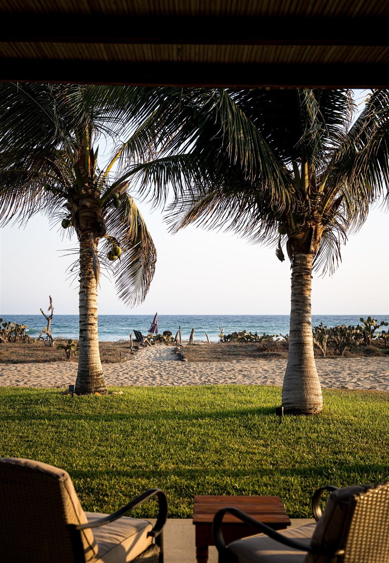 A beachside seating area with palm trees and a view of the ocean.