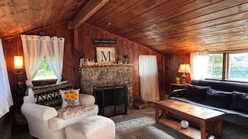 Smart TV, fireplace, books