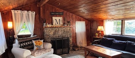 TV connectée, cheminée, livres