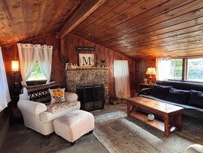 Smart TV, fireplace, books