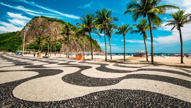Una playa con palmeras y un pavimento estampado.