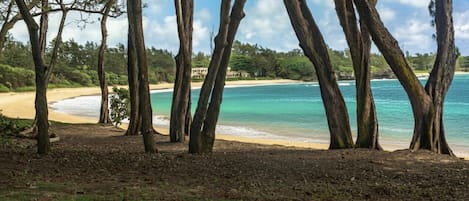 Playa en los alrededores