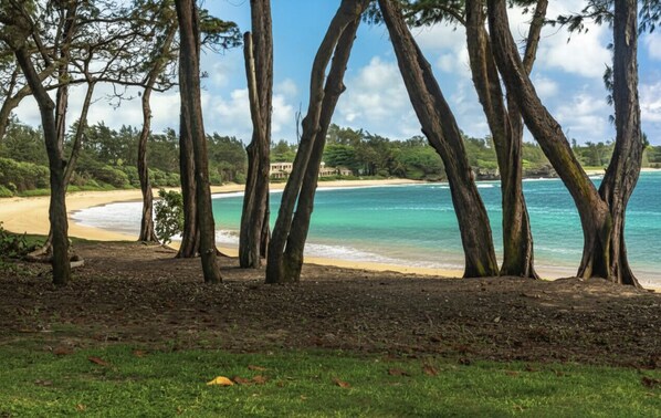 Perto da praia 