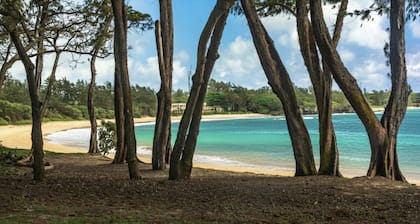 Nakoa Estates | Beach Access, Recent Remodel