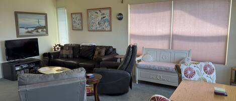 TV, DVD player, books, video library