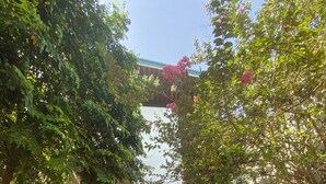 Exterior detail - Cozy 3BR Near Beach, Tranquil Fish Pond & Parking (Đà Nẵng)