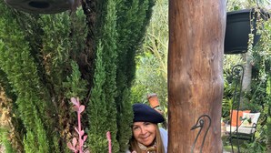A garden with various potted plants and a metal stand. - Summit LuxeVilla (Constanza)