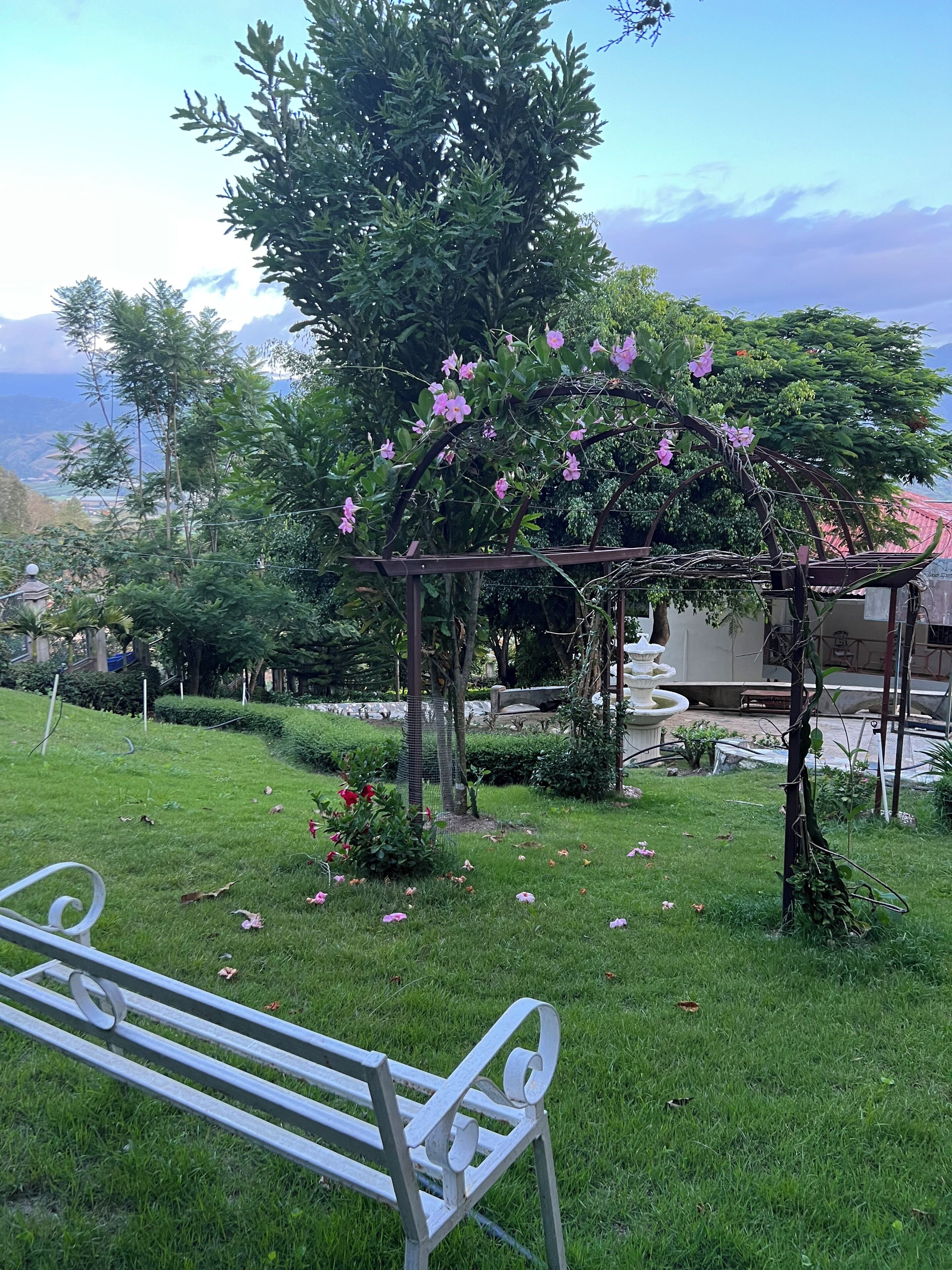 Un jardín con un pérgola, un banco y una fuente.