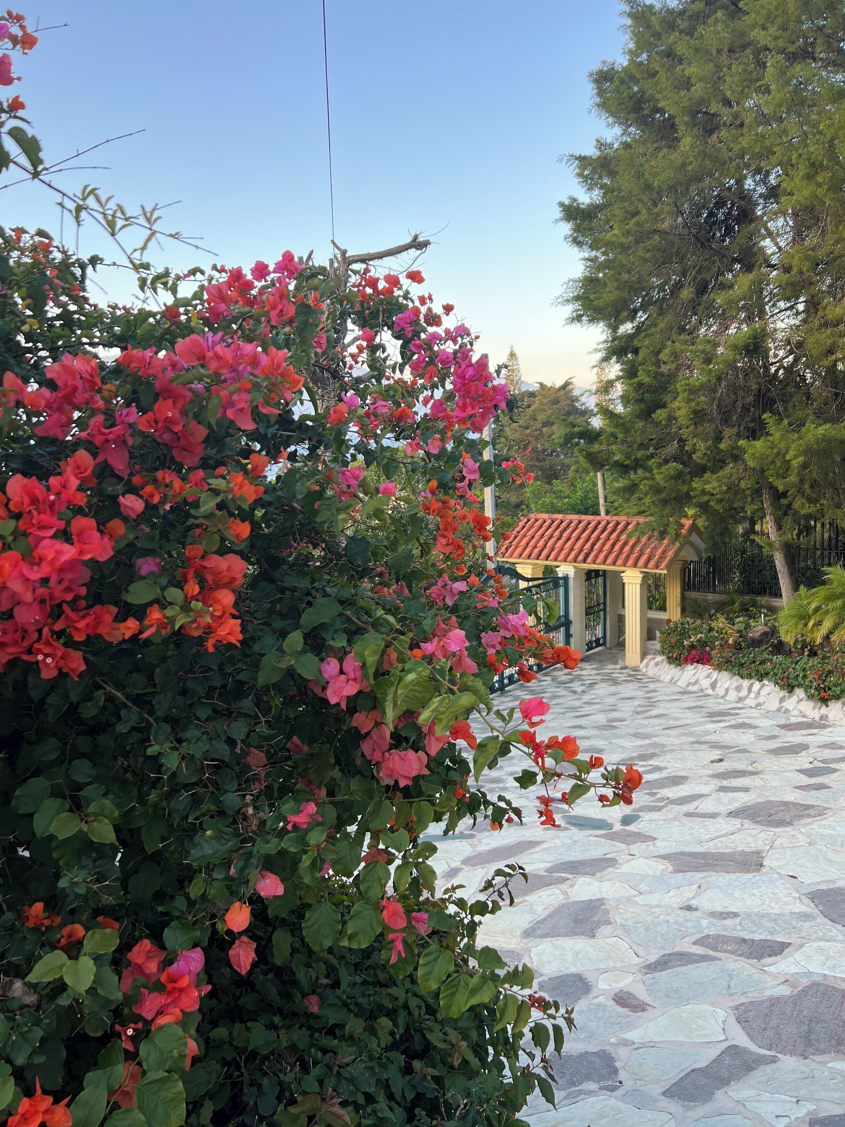 A paved pathway leading to a building with a tiled roof.