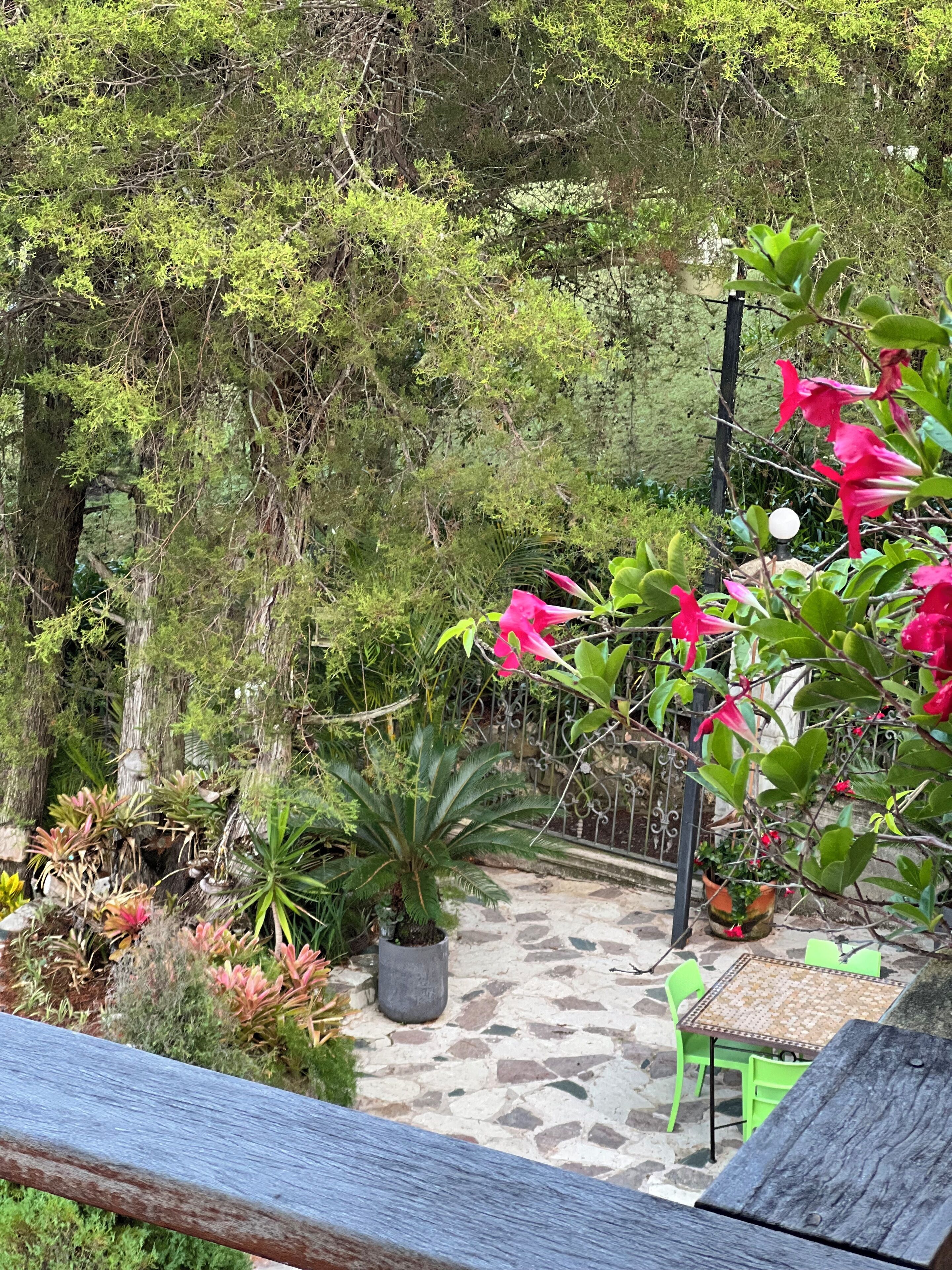 Un jardin agrémenté de plantes en pot, un sentier en pierre et une clôture en métal.