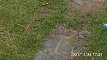 Área da propriedade