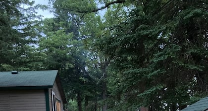 Serene lakefront cabin with AC in Menahga - 4 bedrooms available