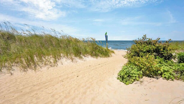 A sandy beach path with vegetation on the sides and a clear sky.