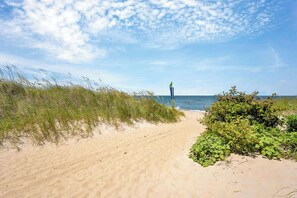 A sandy beach path with vegetation on the sides and a clear sky.