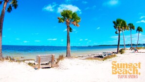 Escena de playa con un banco de madera, palmeras y agua cristalina azul.