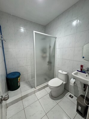 Dusche, Haartrockner, Bidet, Handtücher