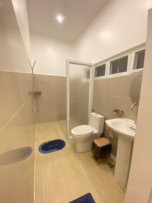 Ducha, cabezal de ducha tipo lluvia, bidet, toallas