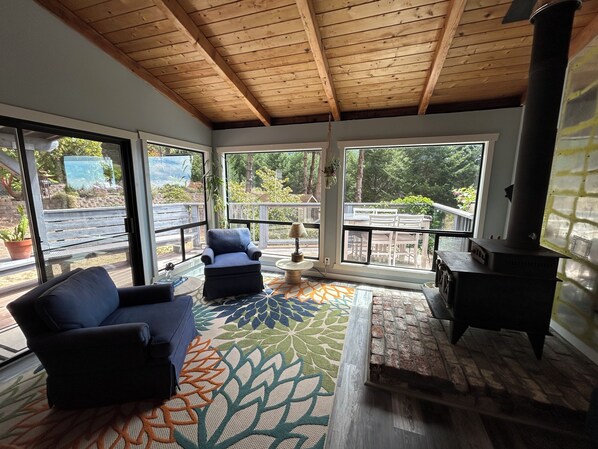 Smart TV, fireplace, books