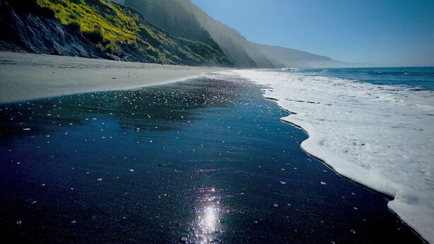 Une plage avec un ciel dégagé et une mer calme.