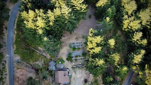 Vue aérienne d’un quartier résidentiel avec une maison, une allée et des arbres environnants.