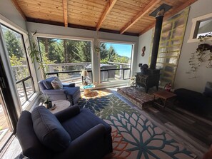 Smart TV, fireplace, books