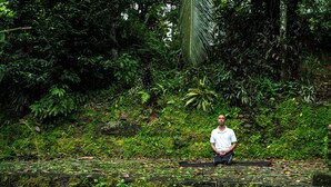 A person sitting on a stone platform surrounded by lush greenery and dense foliage. - Eladetta Retreats  (Kandy)