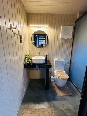 Shower, bidet, towels, soap