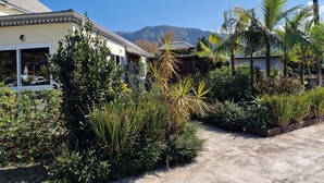 A residential area with a house, lush greenery, and mountains in the background.