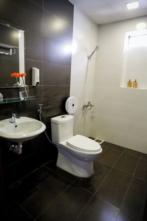 Hair dryer, towels, soap, toilet paper