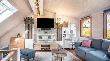 TV, fireplace, DVD player