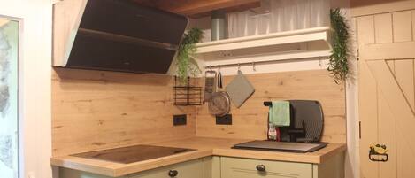 Frigorífico, microondas, horno y placa de cocina