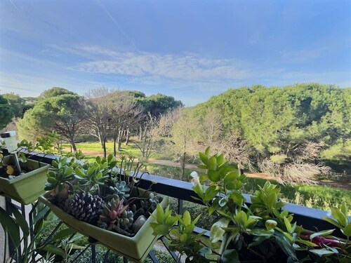 Appartement T2 au bord de l`eau