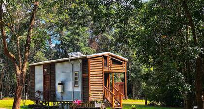 Sanctuary Cabin: Solo-Friendly Retreat w/ Loft, Burner & Solar Power