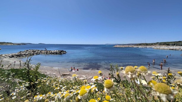 A coastal beach with clear blue waters, rocky breakwaters, and people enjoying the water.