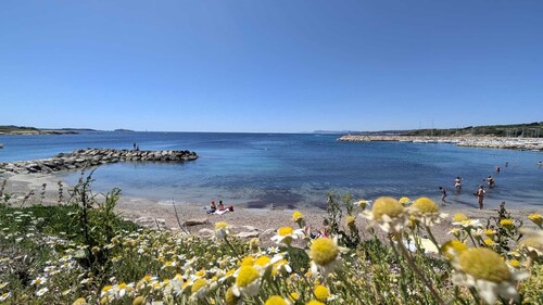 Magnificent duplex 75 m2 - 100 m from the beach - seafront panoramic view