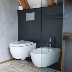 Shower, hair dryer, towels - Apartment 'Lotte' with Private Terrace, Private Garden and Wi-Fi (Bitz)