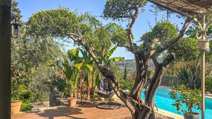 A wooden deck with a hanging chair, a pool, and various potted plants.