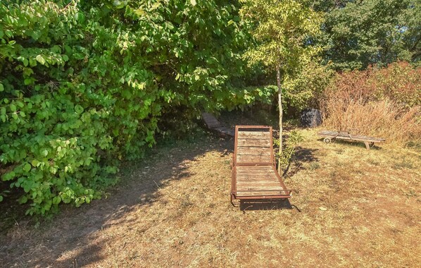 A wooden bench in a garden with dense foliage and a dirt path.