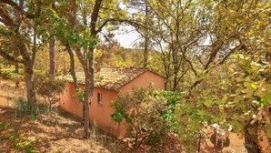 A rustic house surrounded by trees in a wooded area. - 2 bedroom lovely home in Villars (Villars)