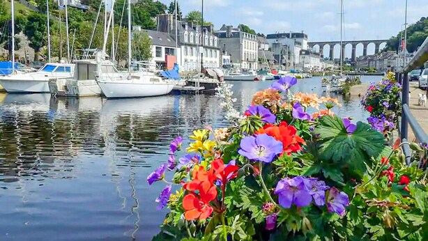 A marina with boats docked, a bridge in the background, and colorful flowers along the water's edge.