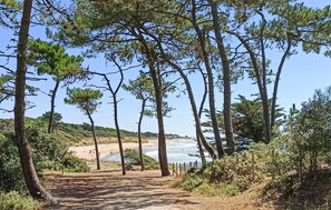 A dirt path leading to a beach with pine trees on either side. - 3 bedroom lovely home in Jard-Sur-Mer (Jard-Sur-Mer)