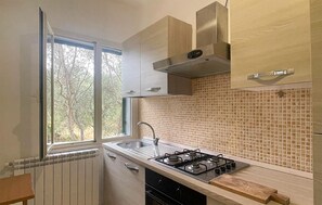 Fridge, stovetop, cookware/dishes/utensils
