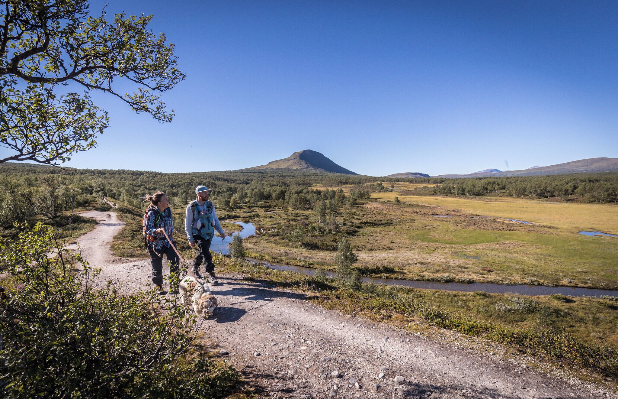 A dirt path with a river and a mountain in the background.