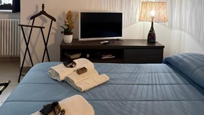 Une chambre à coucher avec un lit, une télévision, une lampe, une plante suspendue et un radiateur.