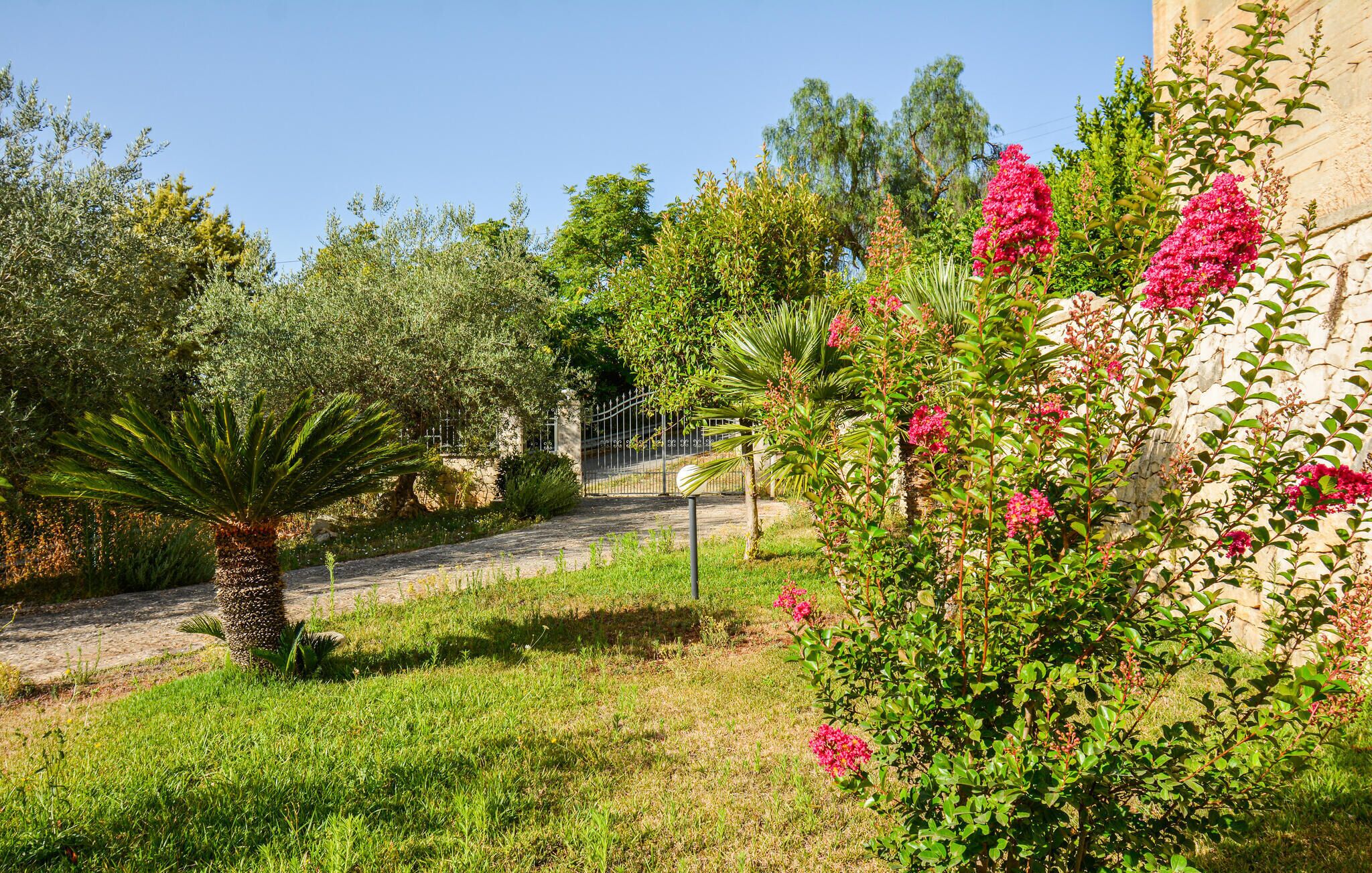 Parco della struttura